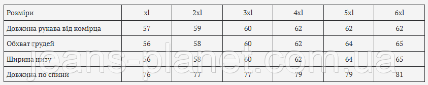 Модна жіноча джинсова сорочка блакитного кольру Liana — изображение 2