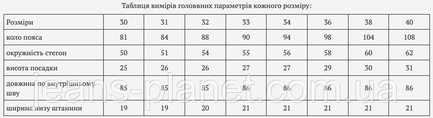 Чоловічі класичні утеплені джинси темно-сірого кольору Pagalee 1443 — изображение 2